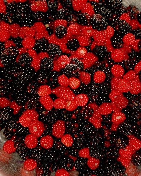 Garden's Whisper: Berry Medley Magic