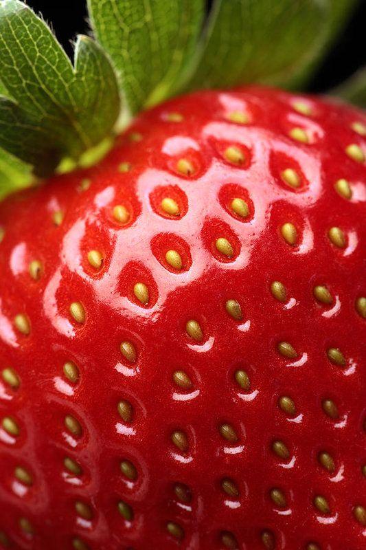 Nature's Mosaic: Vibrant Berry Symphony